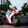 Phuoc Monster