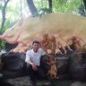 bon banh. Com