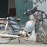 chinguyen 8