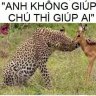 E ấp lá mơ