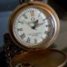 MrTiger