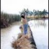thienlong_saf