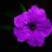 Yeu_Hoa