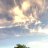 Tolia_82