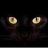 black_cat